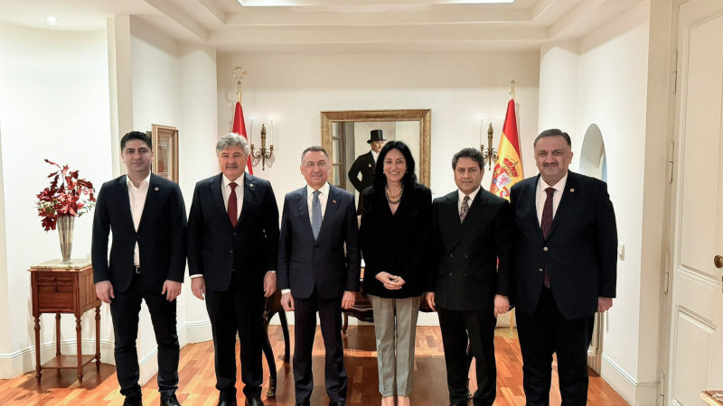 Ali Şahin, Dışişleri Komisyonu ile Madrid’de