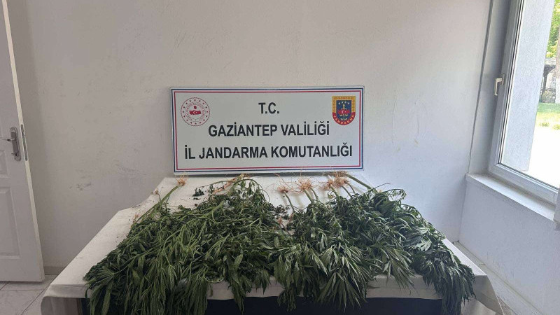 JANDARMADAN KENEVİR OPERASYONU