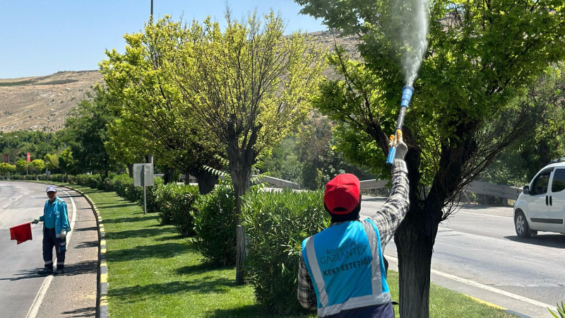 KENE VE DİĞER ZARARLILARA KARŞI TEDBİR AMAÇLI İLAÇLAMA