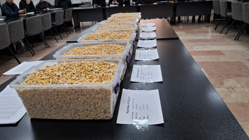 TİGEM’İN 13,5 BİN TONLUK MISIR SATIŞI GTB’DE GERÇEKLEŞTİ