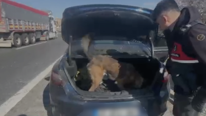 Otoyolda uyuşturucu kullanan 3 şahıs yakalandı