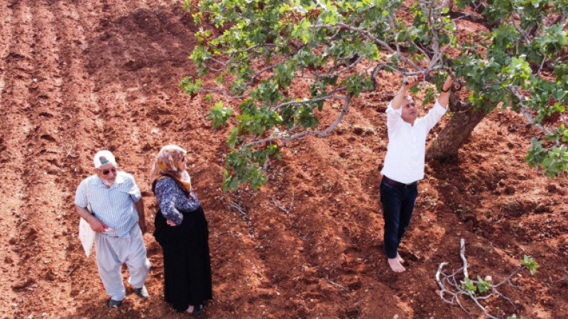 Ali Şahin’den dolu felaketi açıklaması