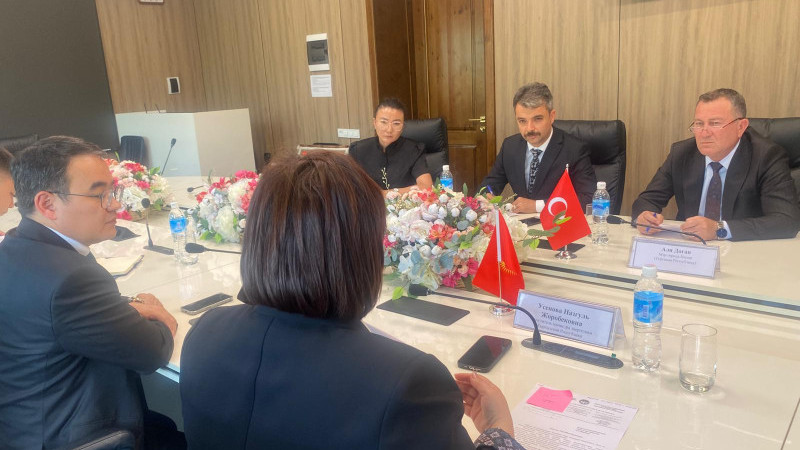 Ali Doğan, Kırgızistan'da