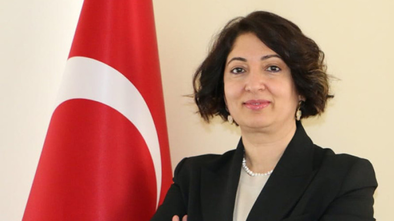 EMO'dan elektrikli araçların enerji tüketimi için veri çağrısı