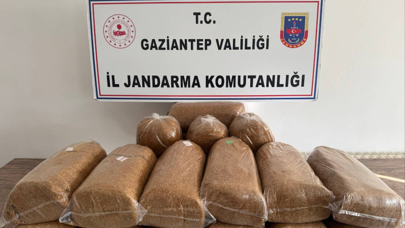 Jandarmadan kaçakçılık operasyonu