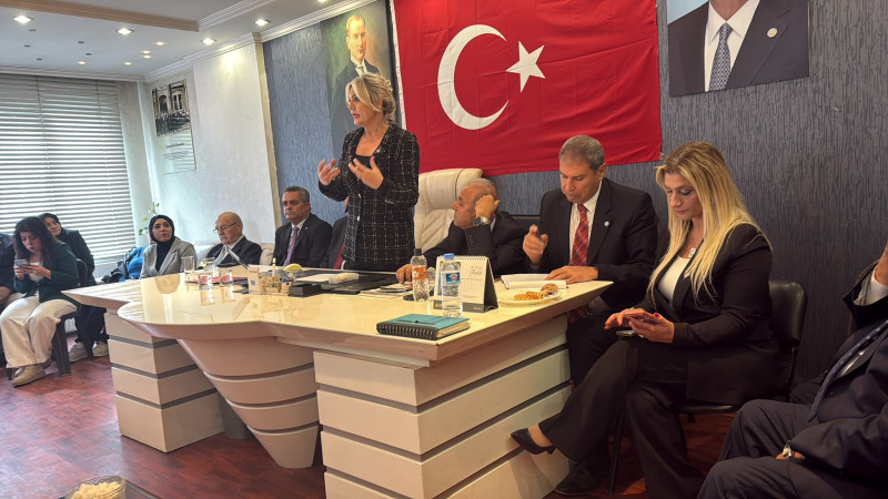 Ekonomi ve denetim eleştirisi